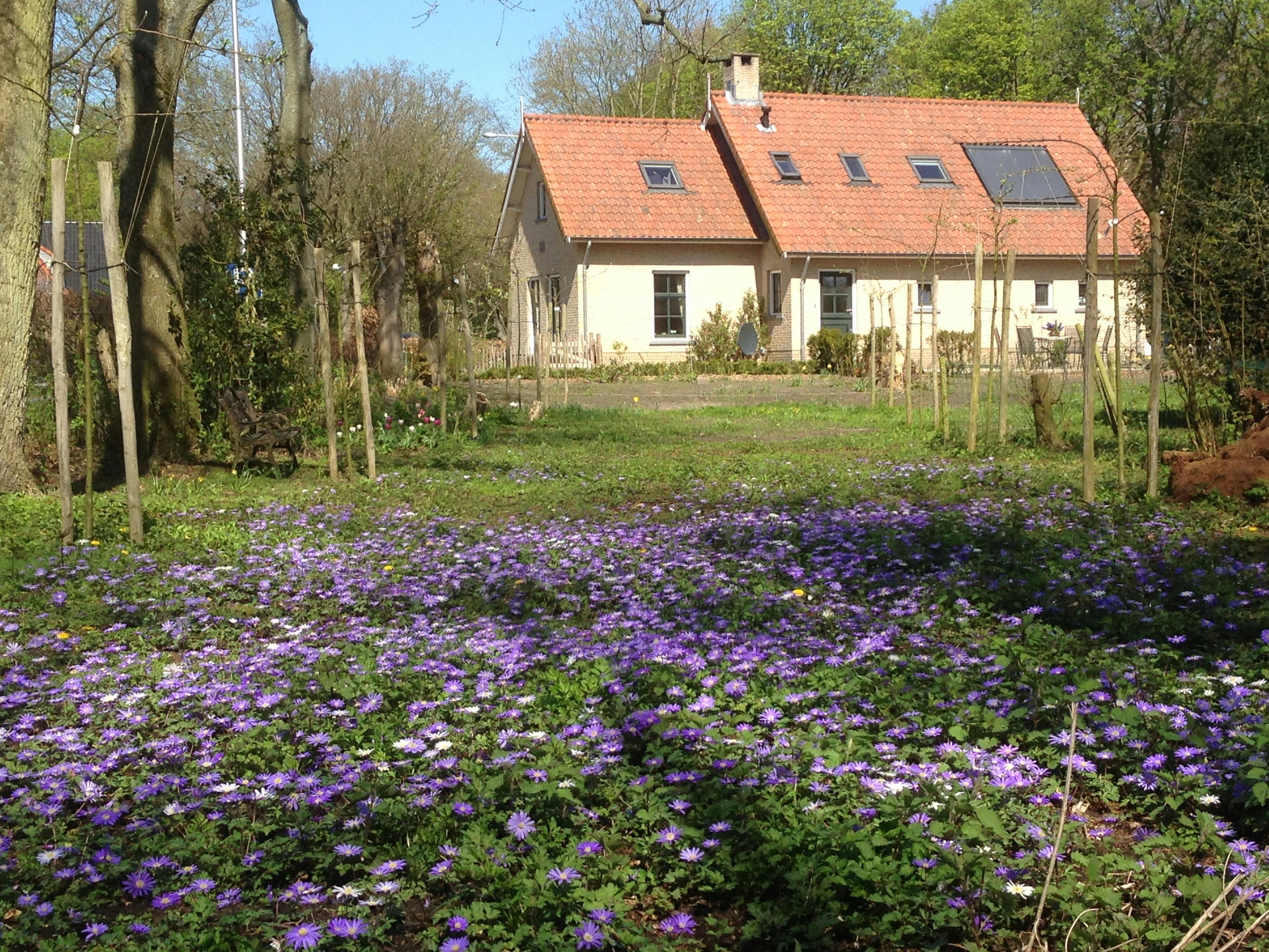 Kamer in Voorne aan Zee