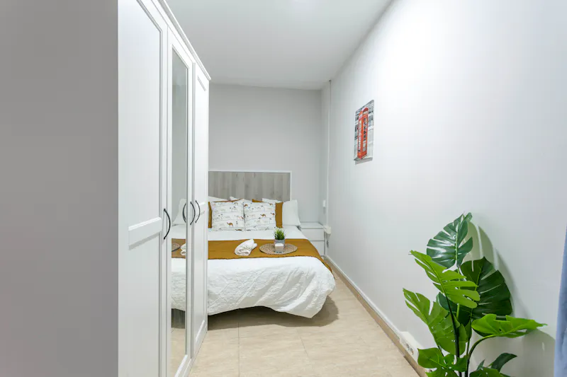 Carrer de Xàtiva, Valencia - in Valencia