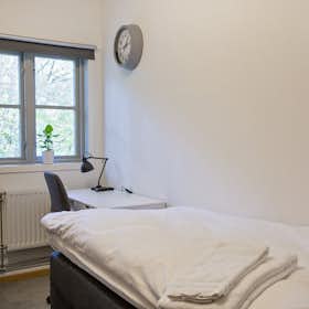 Private room for rent for €1,372 per month in Göteborg, Holmvägen