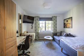 单间公寓 正在以 SEK 21,069 的月租出租，其位于 Göteborg, Holmvägen