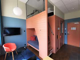 Studio for rent for SEK 15,767 per month in Malmö, Stora Varvsgatan