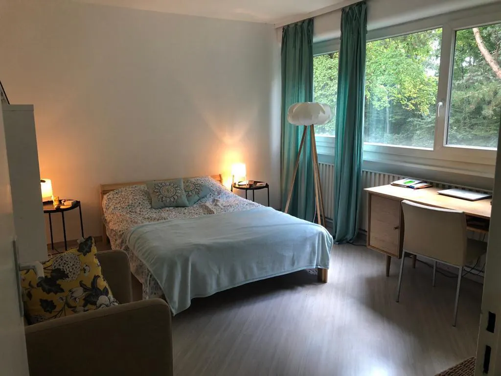 Private room in Rue de Meyrin, Ferney-Voltaire (1064469) ROOM 1