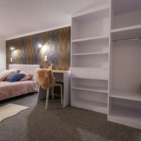 Private room for rent for HUF 137,953 per month in Budapest, Ráday utca