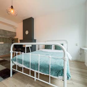 WG-Zimmer for rent for 1.025 € per month in Rotterdam, Pleinweg