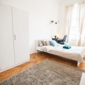 Private room for rent for HUF 149,777 per month in Budapest, József körút