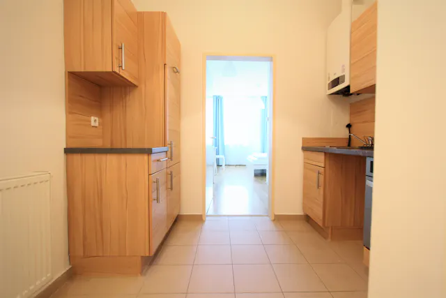 1-Bedroom Apartment in Lerchenfelder Gürtel, Vienna (1065926) room image 2