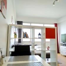 Studio for rent for 1.700 € per month in Vienna, Schwedenplatz