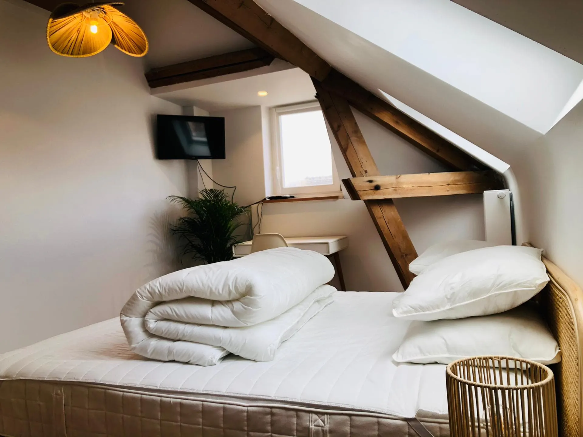 1-Bedroom Apartment in Rue Herman Richir, Schaerbeek (1068131) ROOM 2