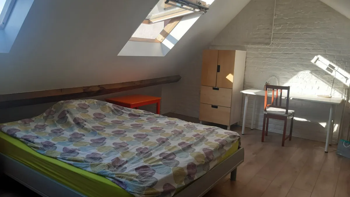 Private room in Rue Victor Lefèvre, Schaerbeek (1068573) ROOM