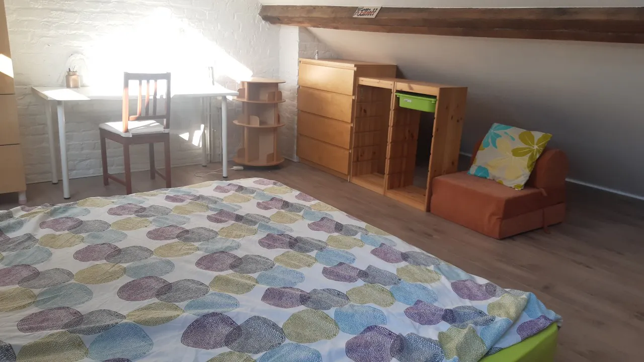 Private room in Rue Victor Lefèvre, Schaerbeek (1068573) ROOM 1