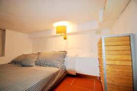 单间公寓 正在以 €725 的月租出租，其位于 Rome, Largo dei Librari