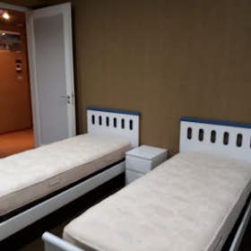 Shared room for rent for €420 per month in Turin, Via Federico Paolini