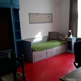 Private room for rent for €570 per month in Schaerbeek, Boulevard Lambermont