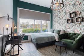 单间公寓 正在以 €995 的月租出租，其位于 Rotterdam, Mijnsherenplein