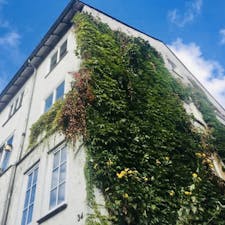 WG-Zimmer for rent for 800 € per month in Kassel, Philosophenweg