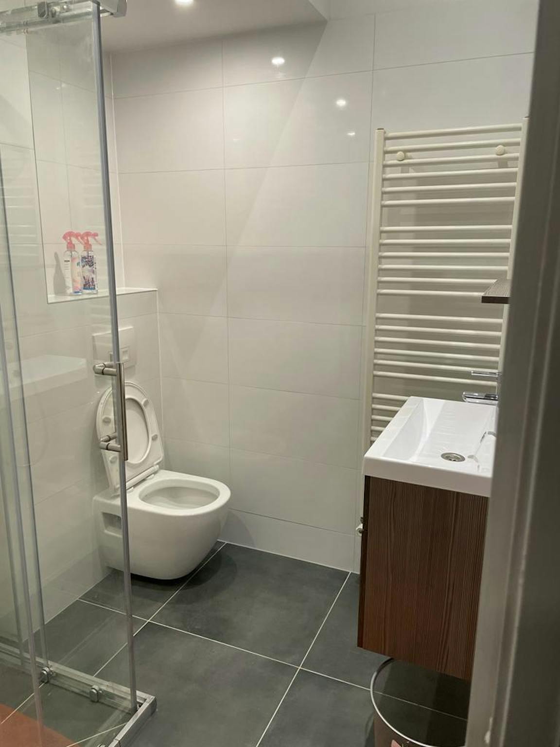View photo 1/26 of apartment in Rotterdam