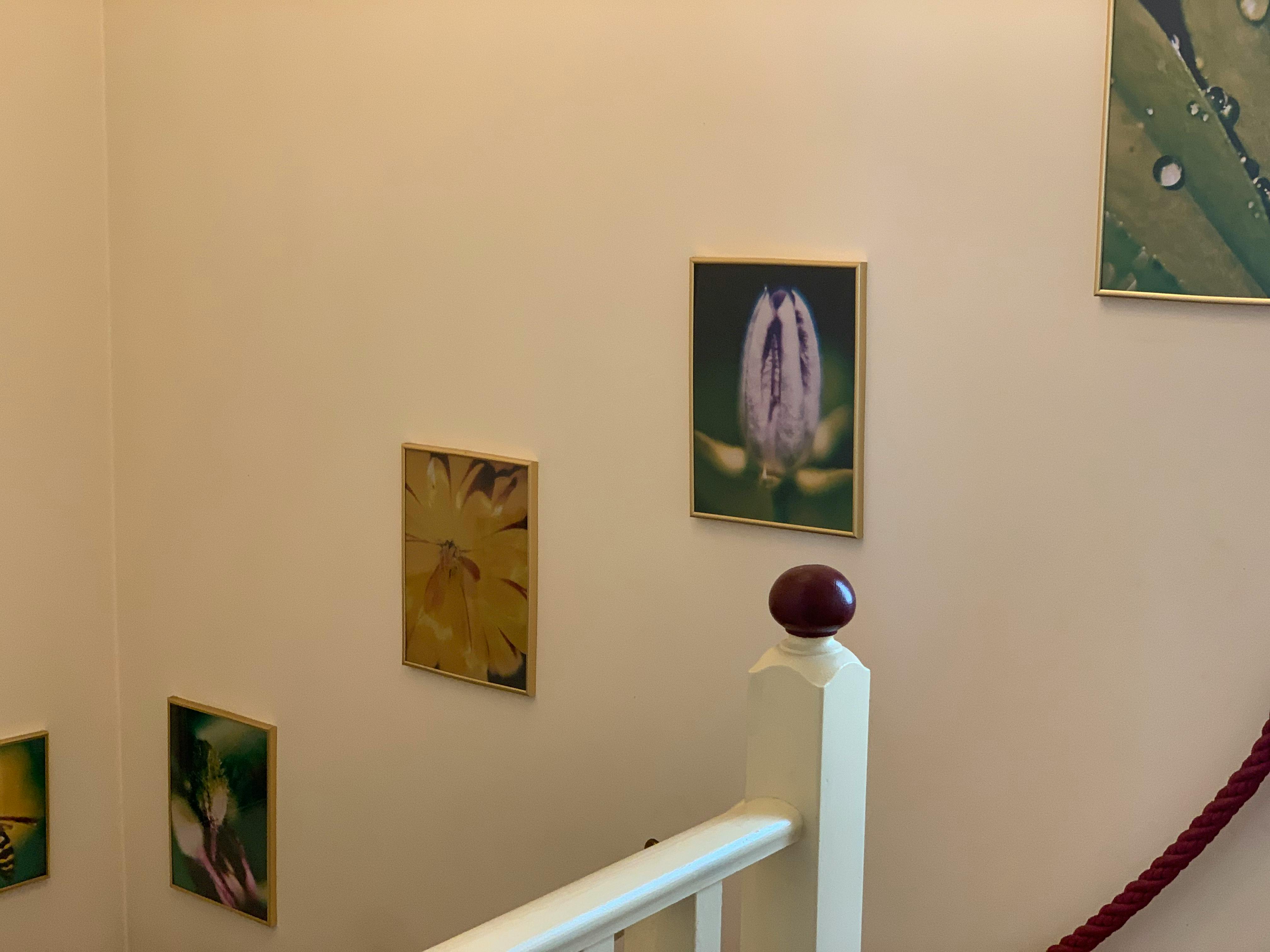 Apartment Vienna, 240m² — photo 1
