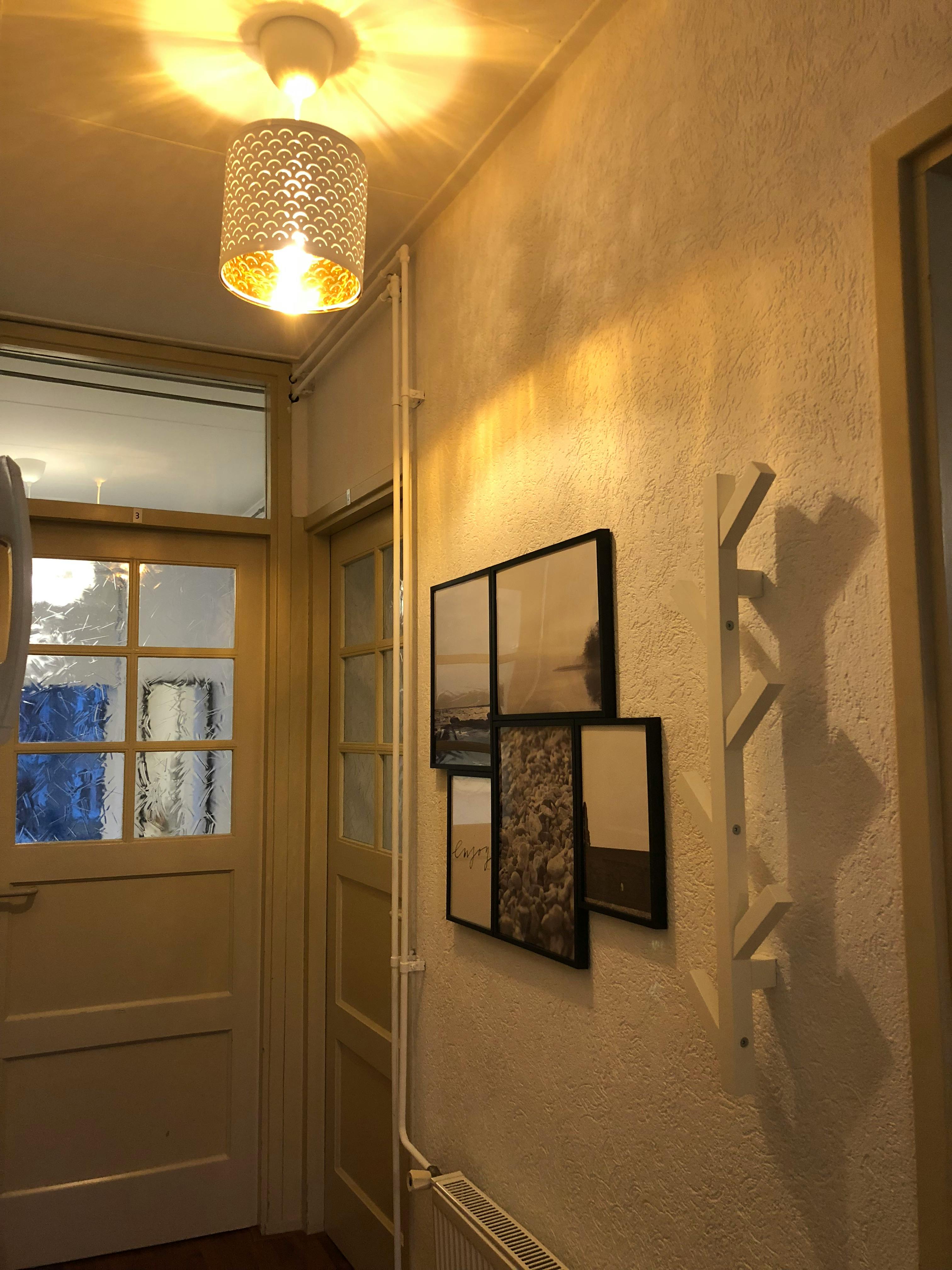 Single room Rotterdam, 8m² — photo 9