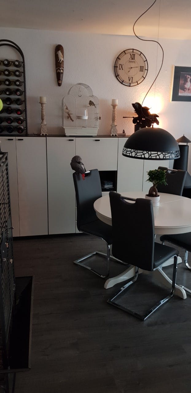 Apartment Rotterdam, 80m² — photo 21