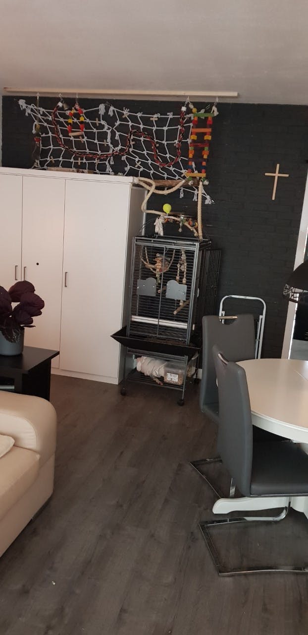 Apartment Rotterdam, 80m² — photo 23