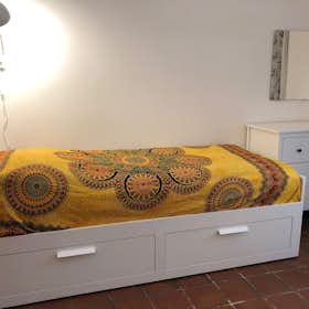 Private room for rent for €500 per month in Turin, Piazza Giambattista Bodoni