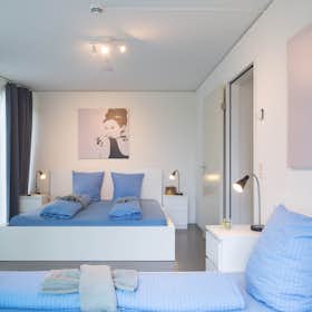 公寓 正在以 CHF 2,420 的月租出租，其位于 Luzern, Zihlmattweg