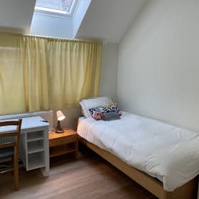 Private room for rent for €630 per month in Brussels, Gierstraat