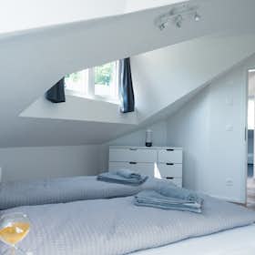 Apartment for rent for CHF 3,604 per month in Zürich, Birmensdorferstrasse