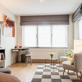 Studio for rent for €1,500 per month in Etterbeek, Avenue des Volontaires