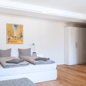 Studio for rent for CHF 3,134 per month in Basel, Rümelinsplatz