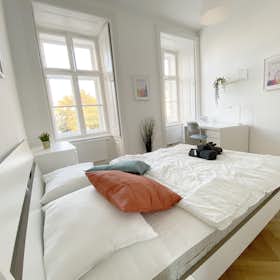 Private room for rent for €650 per month in Vienna, Große Neugasse