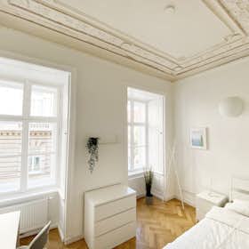 Private room for rent for €720 per month in Vienna, Große Neugasse