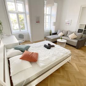 Private room for rent for €750 per month in Vienna, Große Neugasse