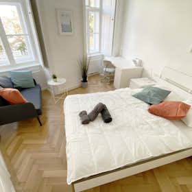 Private room for rent for €690 per month in Vienna, Große Neugasse