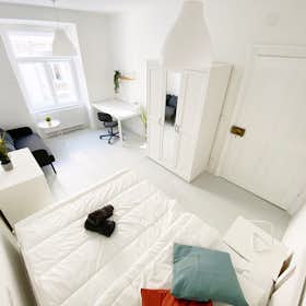 Private room for rent for €660 per month in Vienna, Große Neugasse