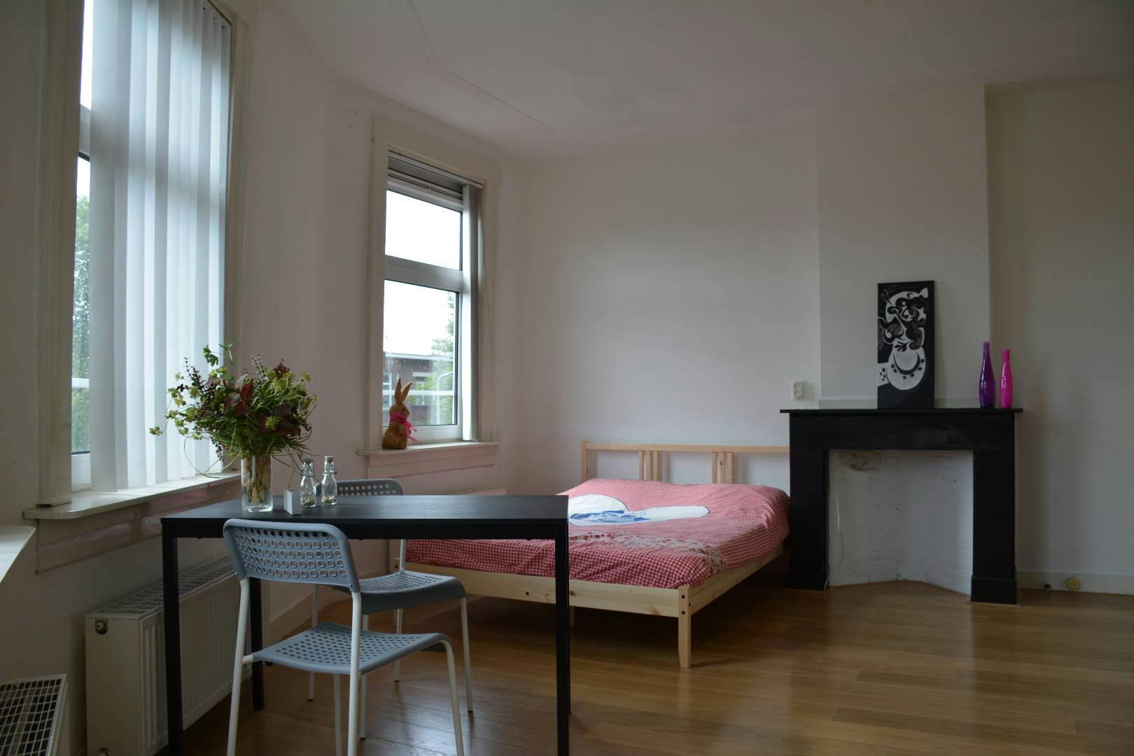 Wouwermanstraat, The Hague foto 2