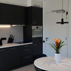 Apartament de închiriat pentru 1.295 EUR pe lună în Hasselt, Raamstraat
