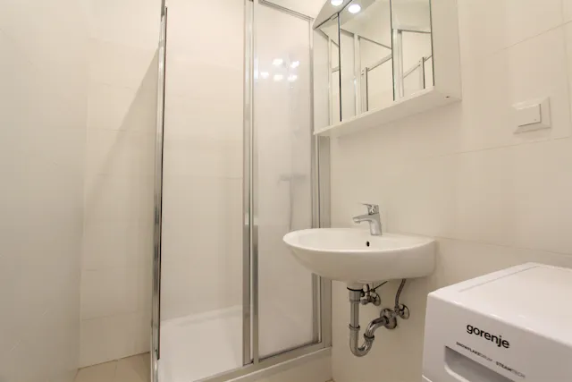 1-Bedroom Apartment in Graumanngasse, Vienna (1080352) room image 60