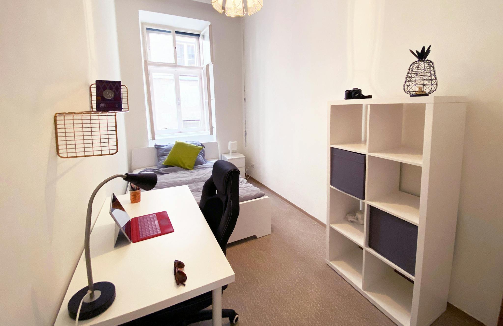 Bäuerlegasse, Vienna preview