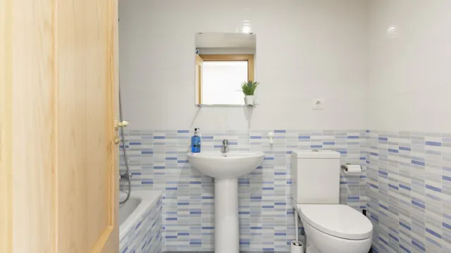 Private room in Calle de Turaco, Madrid (1082352) room image 60