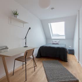 Private room for rent for €1,035 per month in Berlin, Stephanstraße
