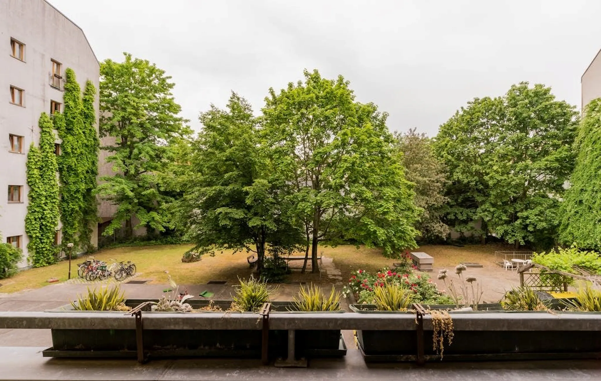 Soldiner Straße, Berlin preview