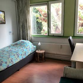 私人房间 正在以 €475 的月租出租，其位于 Rotterdam, August Vermeijlenpad