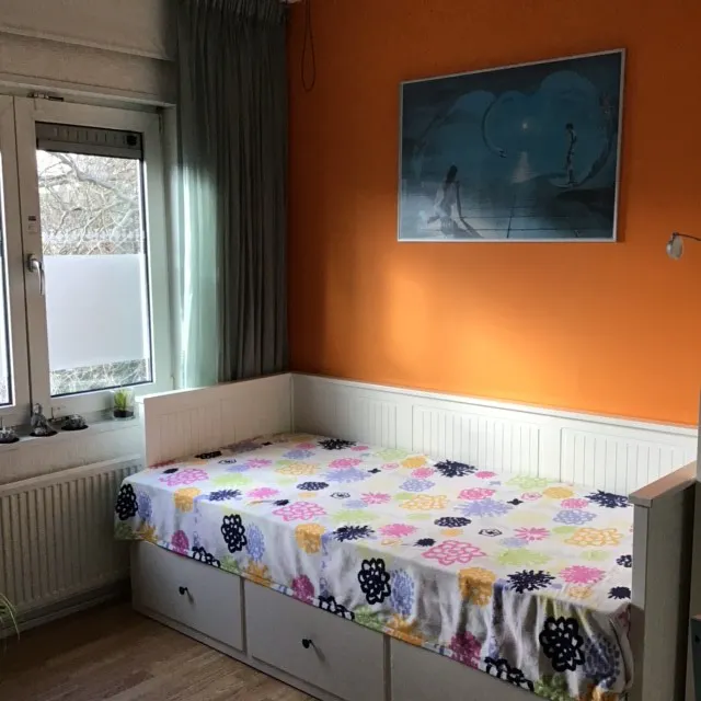 Private room in Wethouder Wierdelsstraat, Amsterdam (1085290) ROOM 4