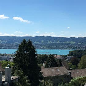 Apartment for rent for CHF 7,003 per month in Zürich, Luegete