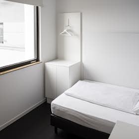 Studio for rent for €1,410 per month in Munich, Triebstraße