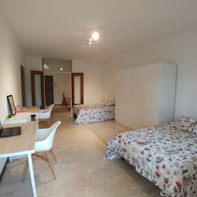 Mehrbettzimmer zu mieten für 365 € pro Monat in Padova, Via Luigi Pellizzo