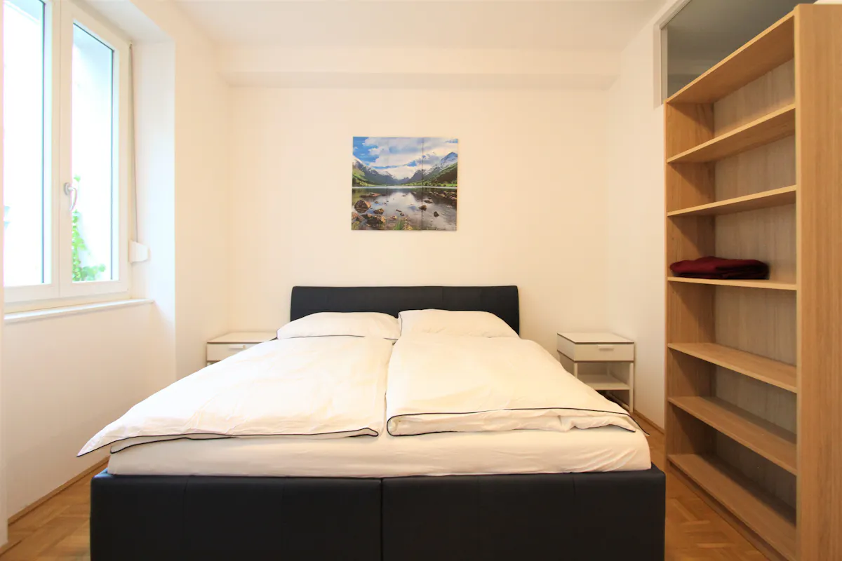 1-Bedroom Apartment in Hartlgasse, Vienna (1090621) ROOM