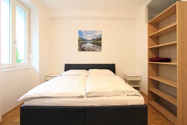 1-Bedroom Apartment in Hartlgasse, Vienna (1090621) room image 1