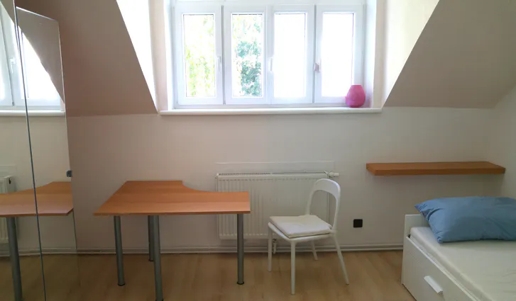 1-Bedroom Apartment in Belghofergasse, Vienna (1090788) ROOM 4